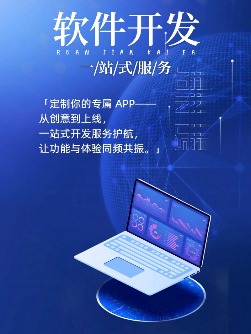 软件定制开发：企业成长的新引擎